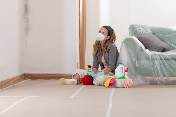 Reliable Basement Mold Remediation contractor in Belvidere, NC by 24 Hour Mold Removal